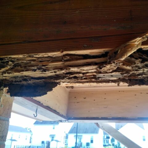 Severe termite damage to structural wood beam showing extensive internal tunneling and rot in a Louisiana home